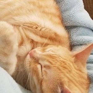 Meet your Posher, Martha